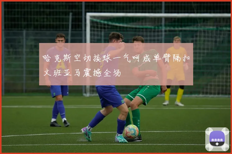 哈克斯空切接球一气呵成单臂隔扣文班亚马震撼全场